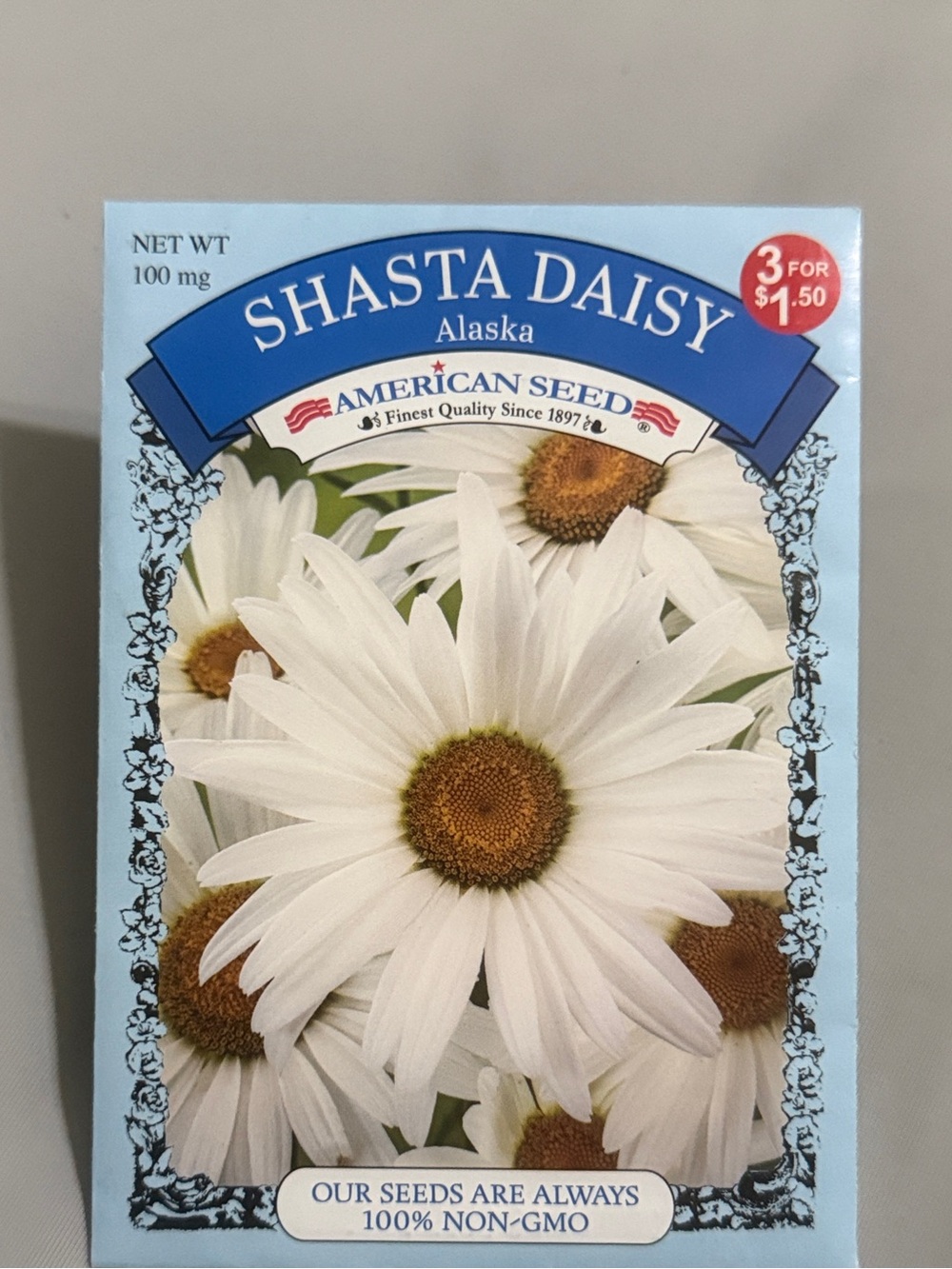 Shasta Daisy Alaska Seeds